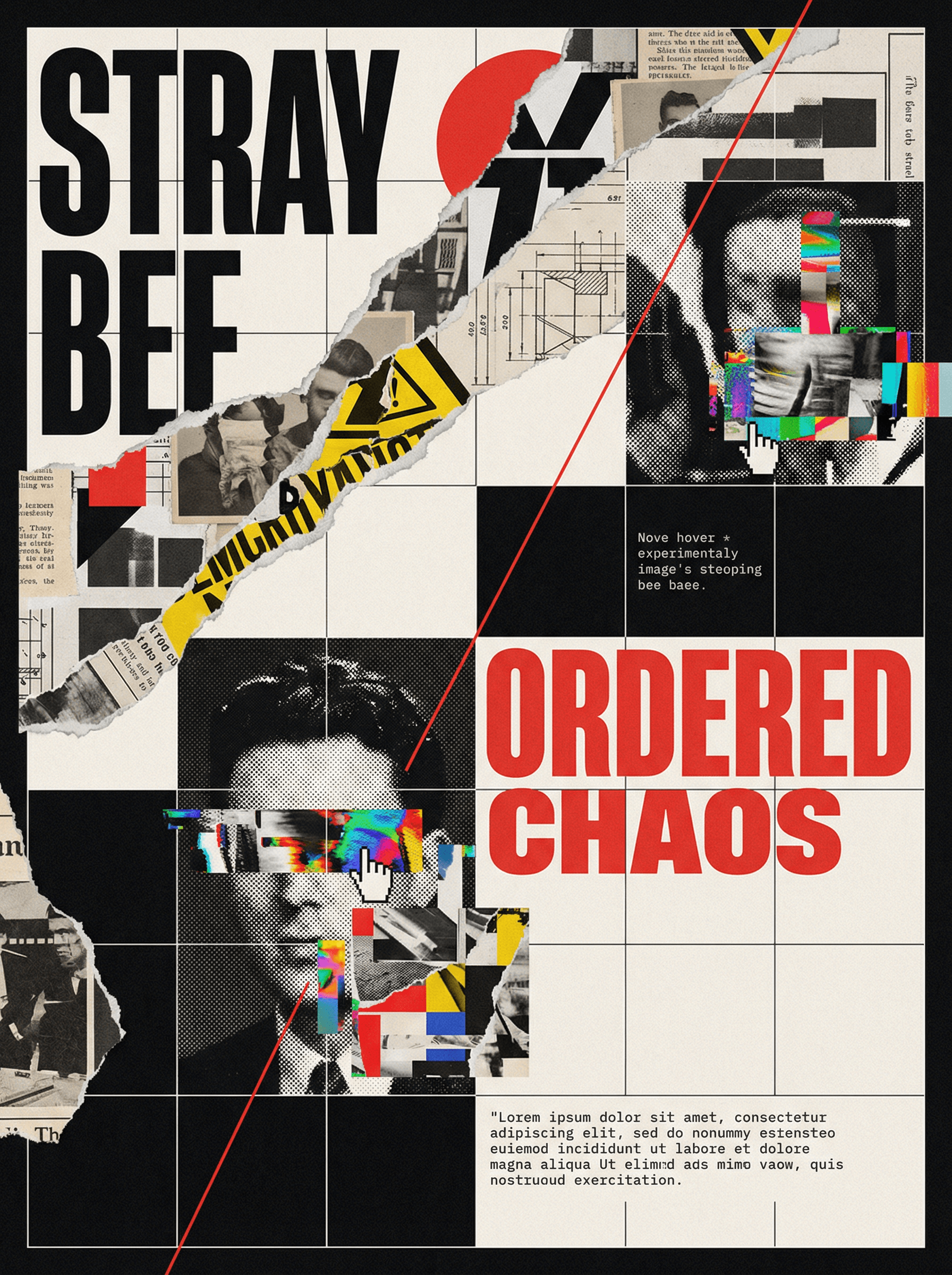 Ordered Chaos visual schema